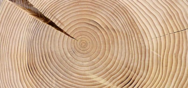 ecm representaciones exclusivas en madera